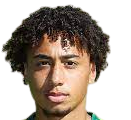 https://img.adiaceg.com/img/football/player/347a6d58ae7ec0425a4d42bc9215c411.png