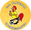 https://img.adiaceg.com/img/football/team/63b0933cc303927659846a4ed54b1522.png